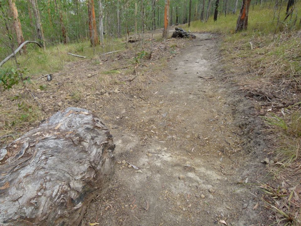 P1130299.jpg