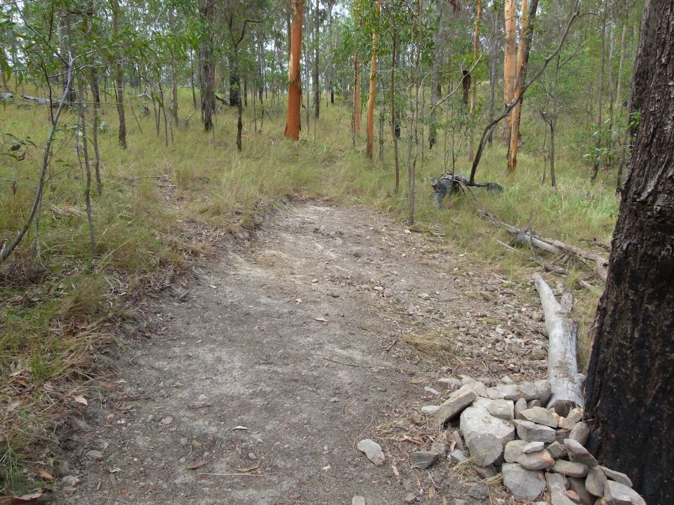 P1130303.jpg