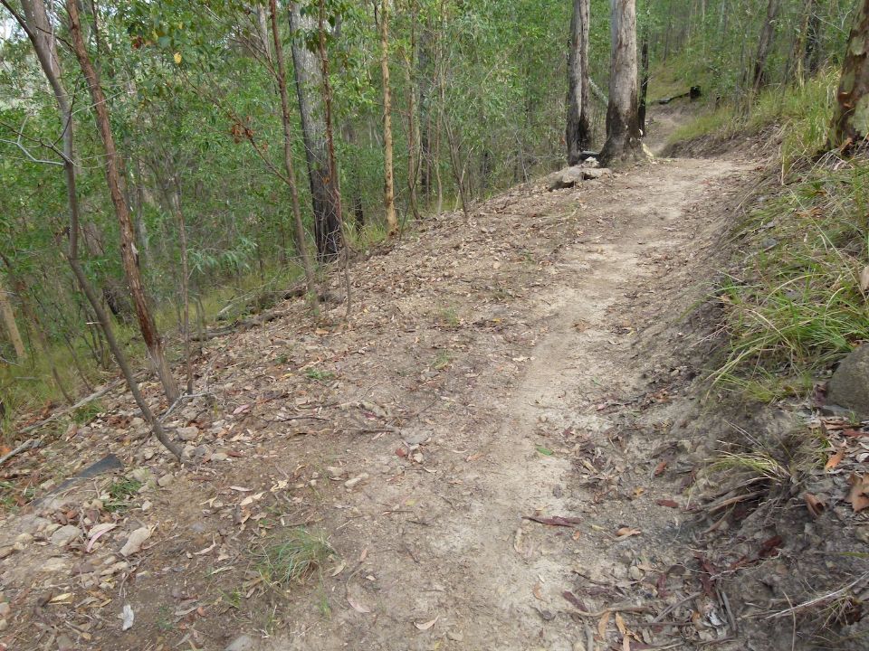 P1130304.jpg