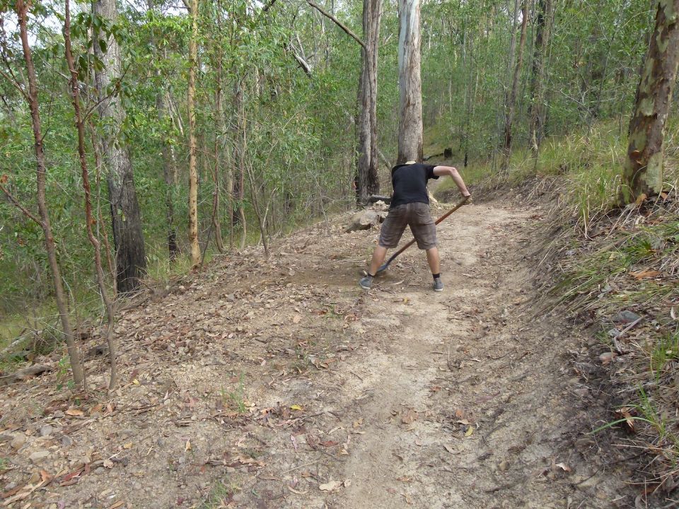 P1130305.jpg