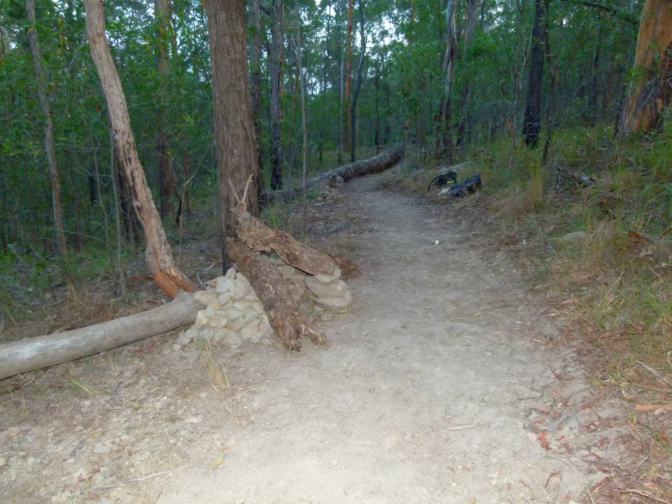 P1130320.jpg