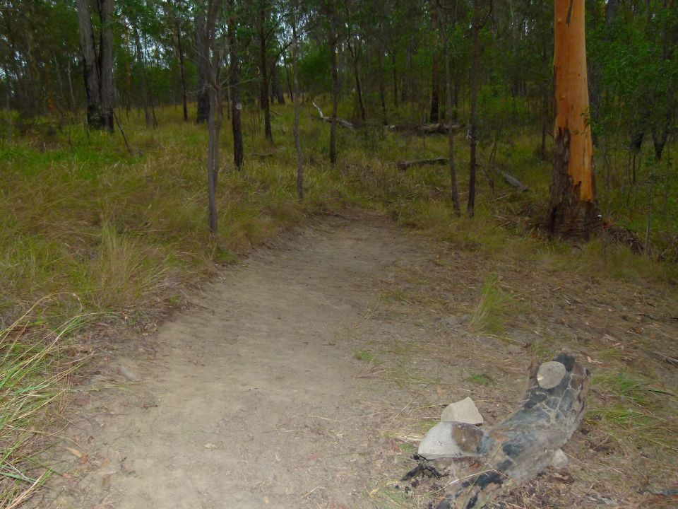 P1130349.jpg