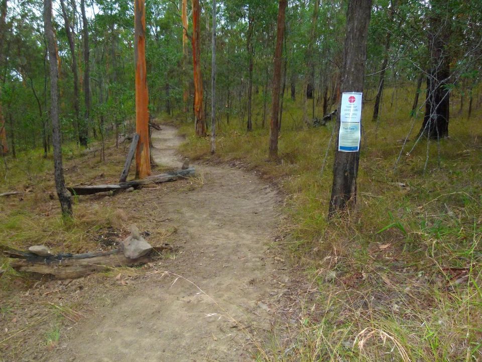P1130367.jpg