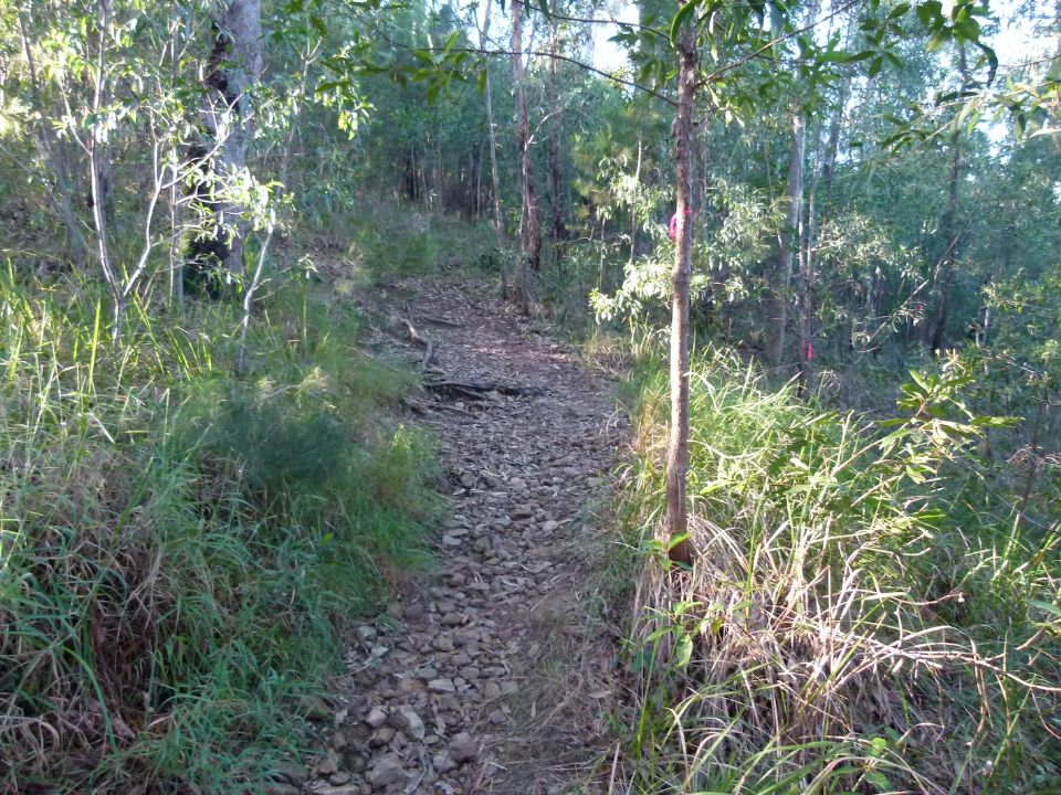 P1050020.jpg