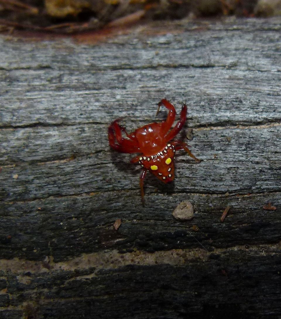 P1130490.jpg