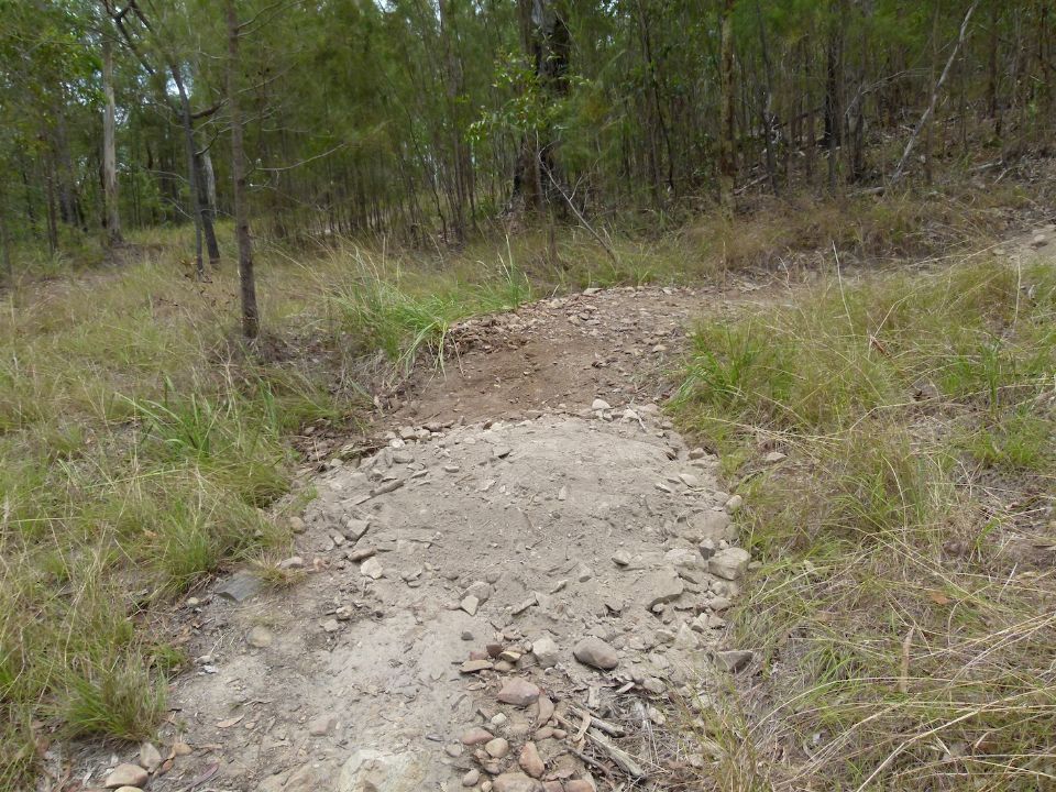 P1130498.jpg