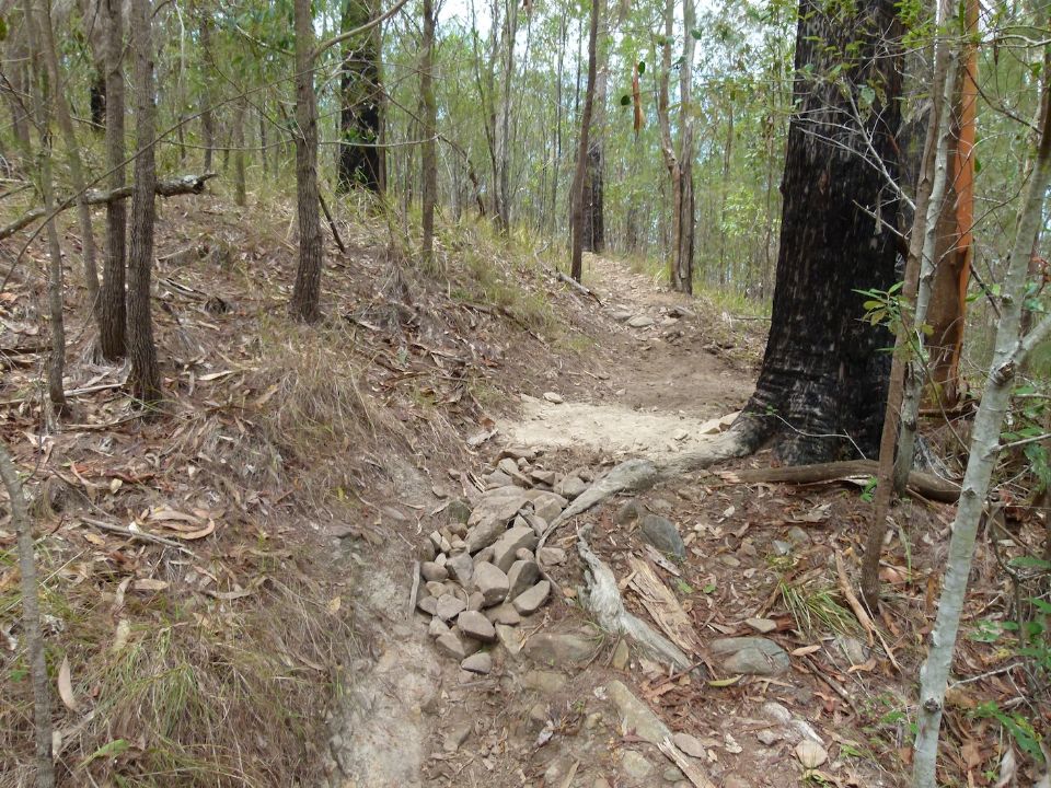 P1130500.jpg