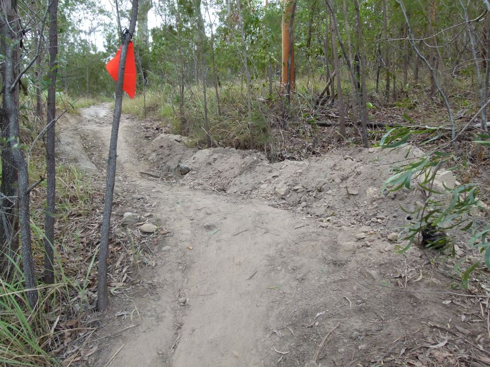 P1130512.jpg