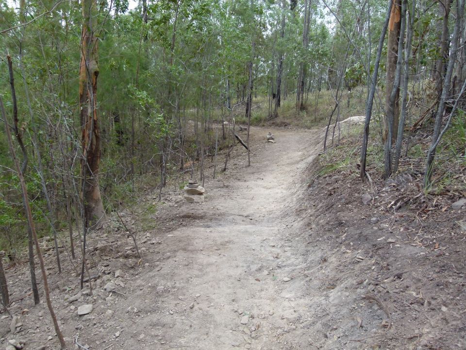 P1130518.jpg