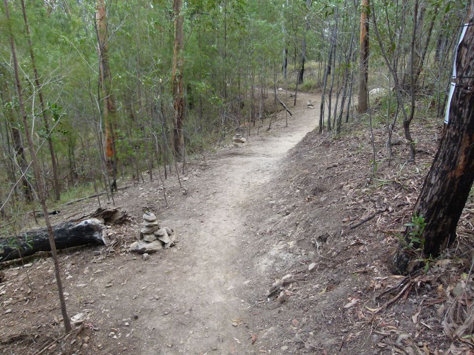 P1130519.jpg