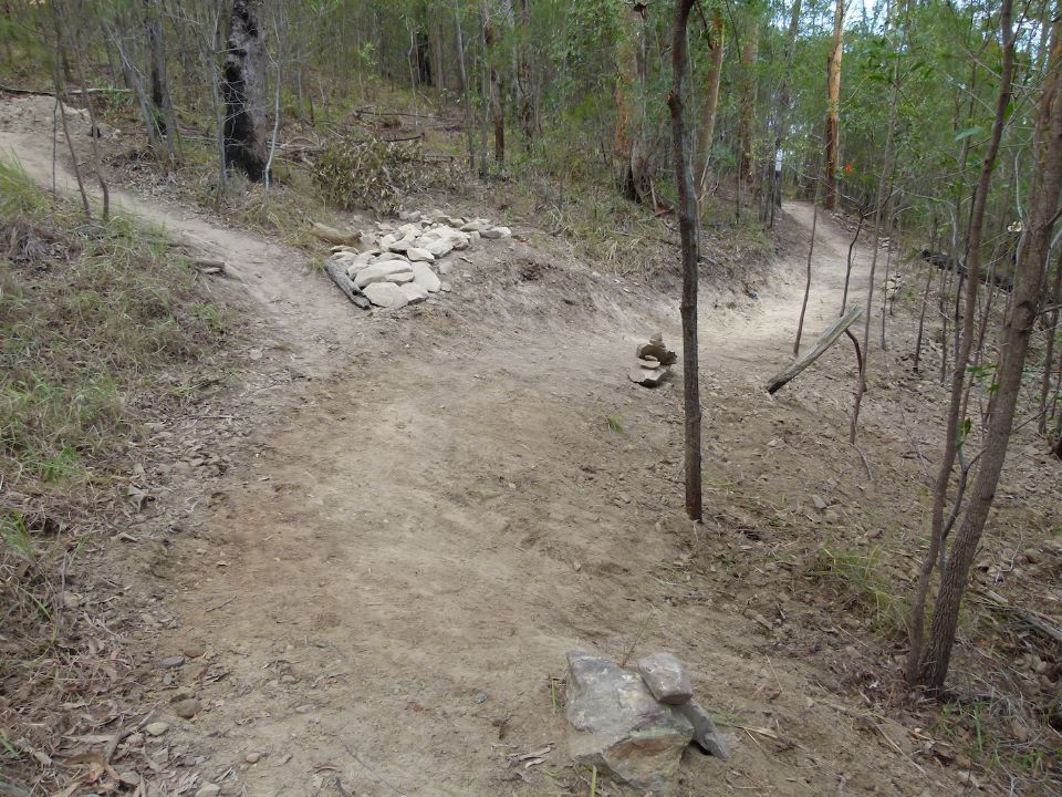 P1130521.jpg