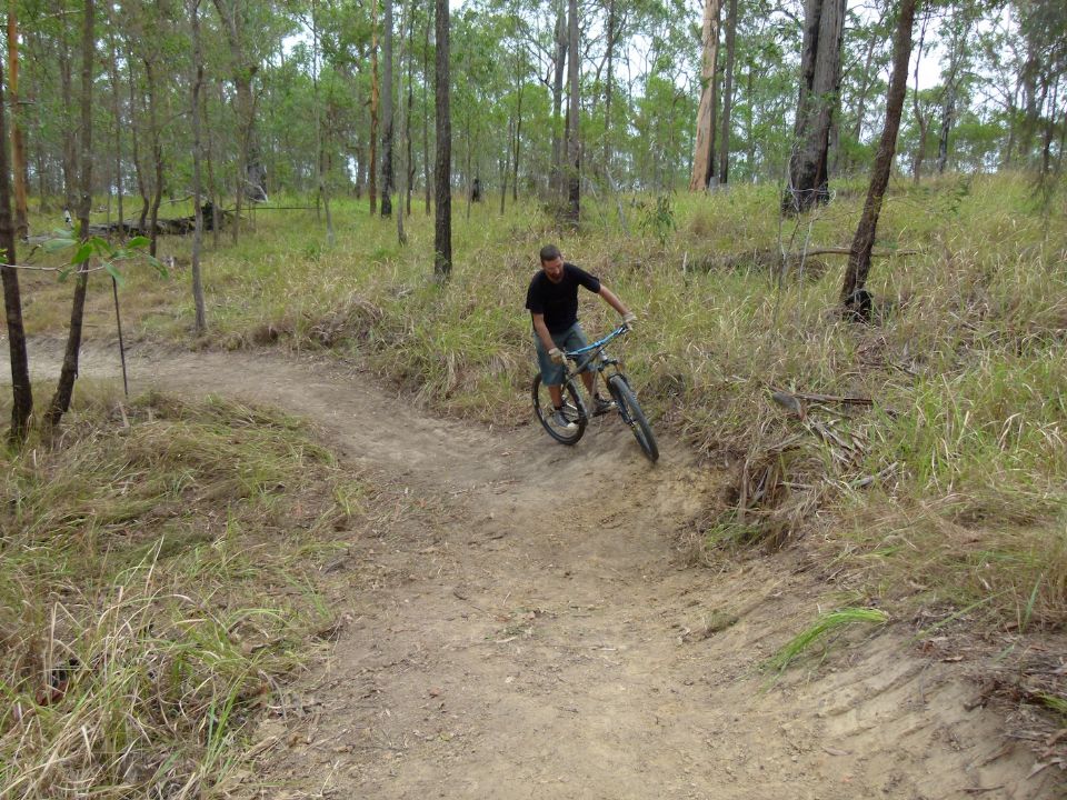 P1130534.jpg