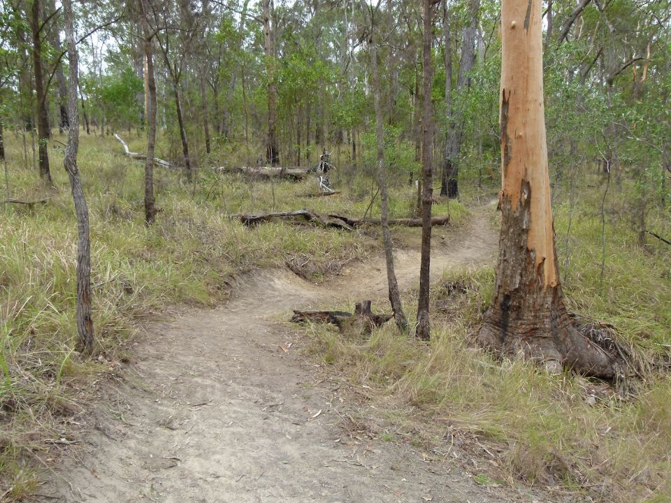 P1130537.jpg
