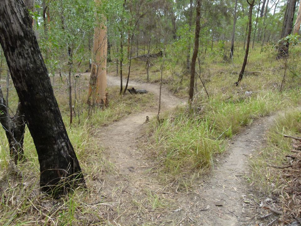 P1130539.jpg