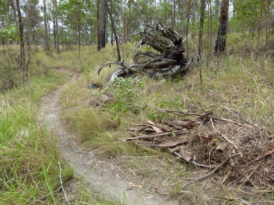 P1130540.jpg