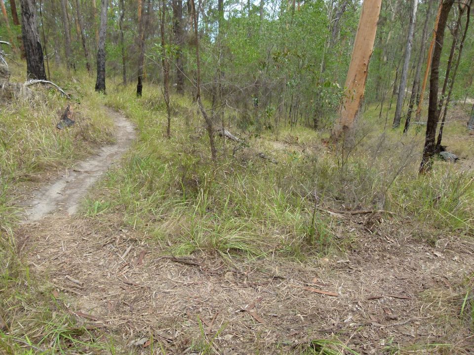 P1130541.jpg