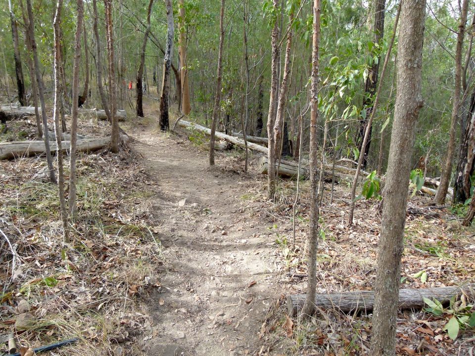 P1130441.jpg