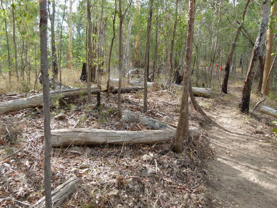 P1130442.jpg