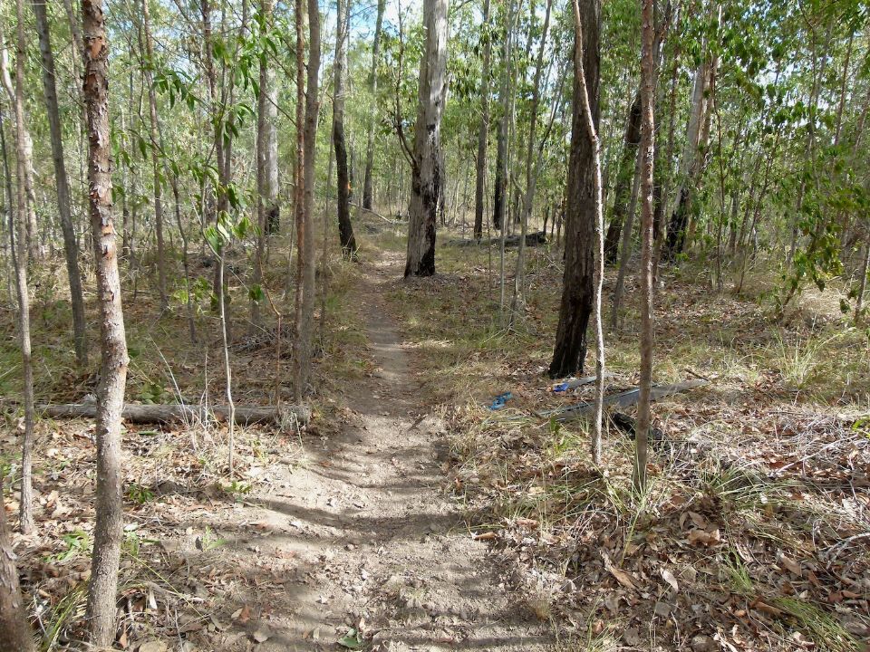 P1130451.jpg