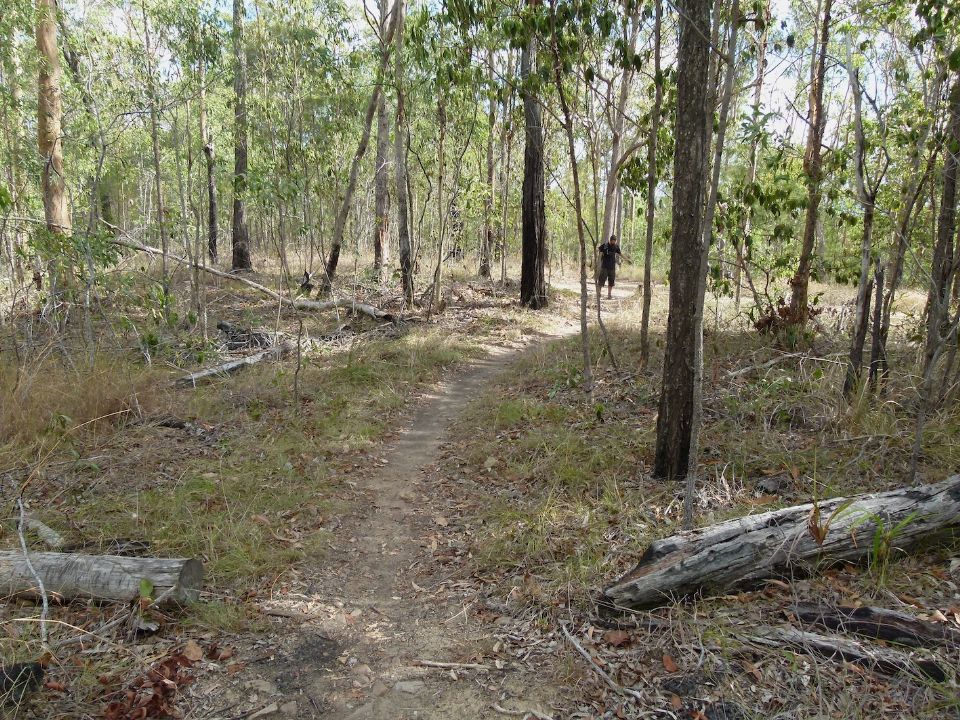 P1130453.jpg