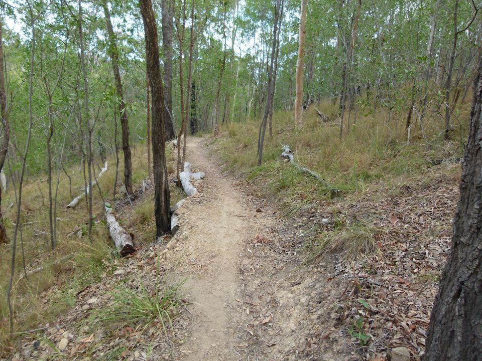 P1130457.jpg