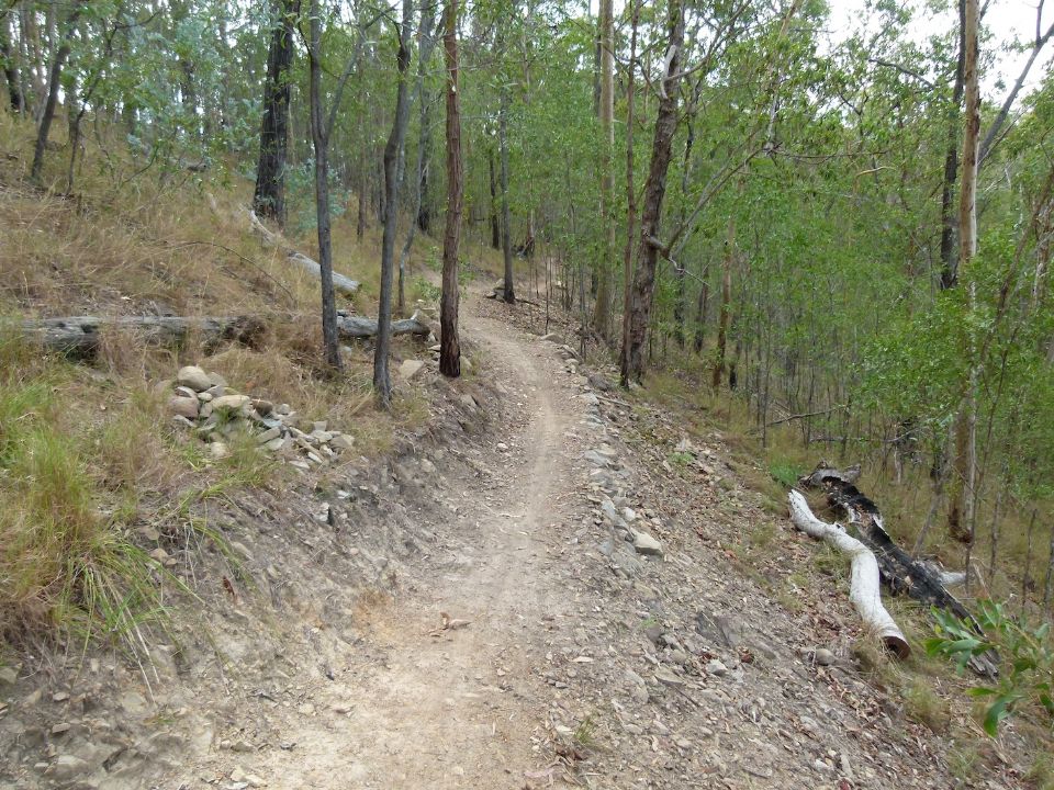 P1130460.jpg