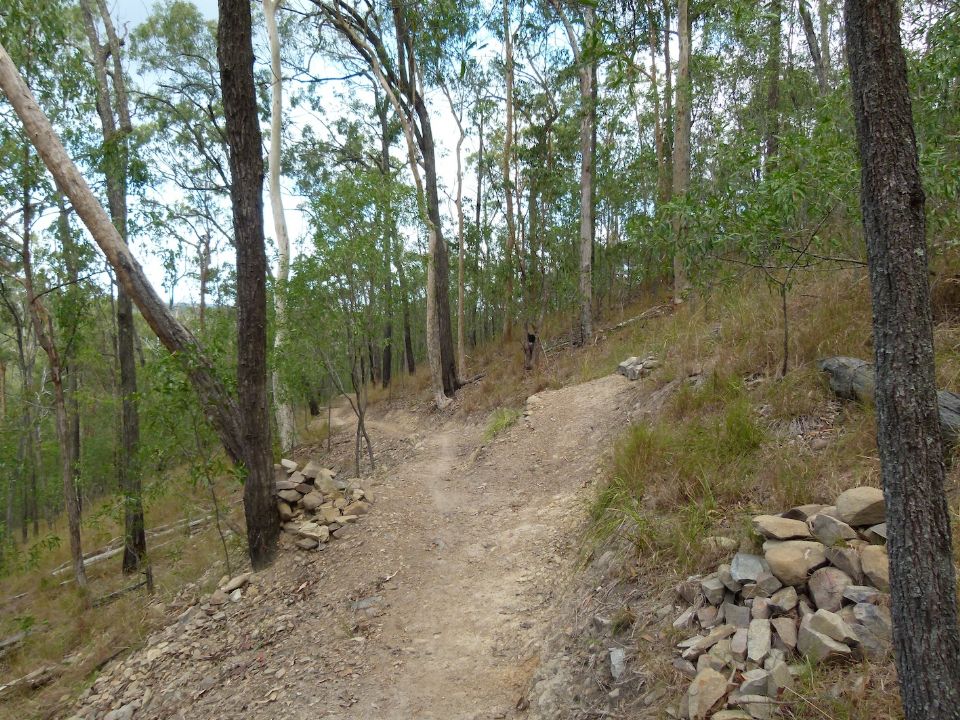 P1130462.jpg
