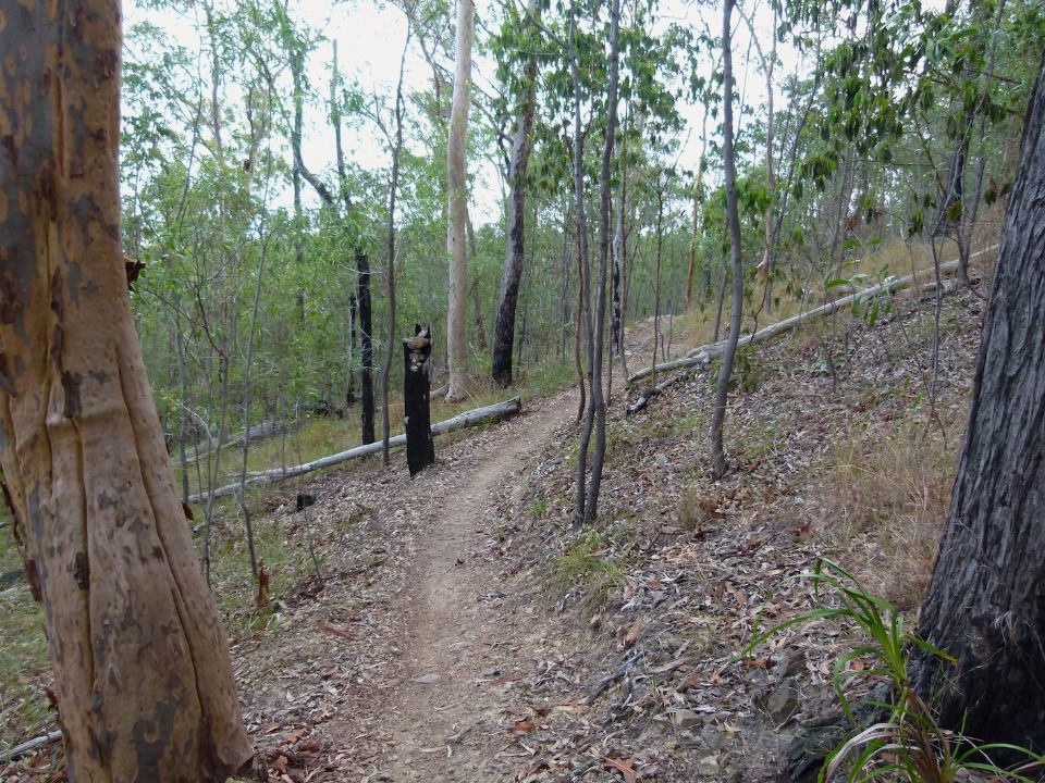 P1130466.jpg