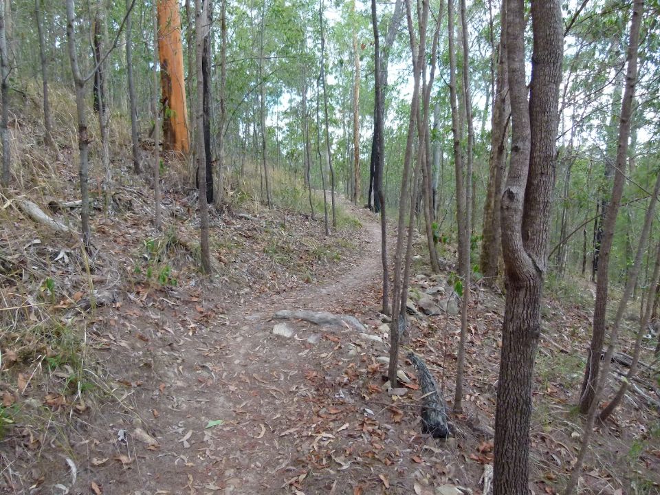 P1130469.jpg