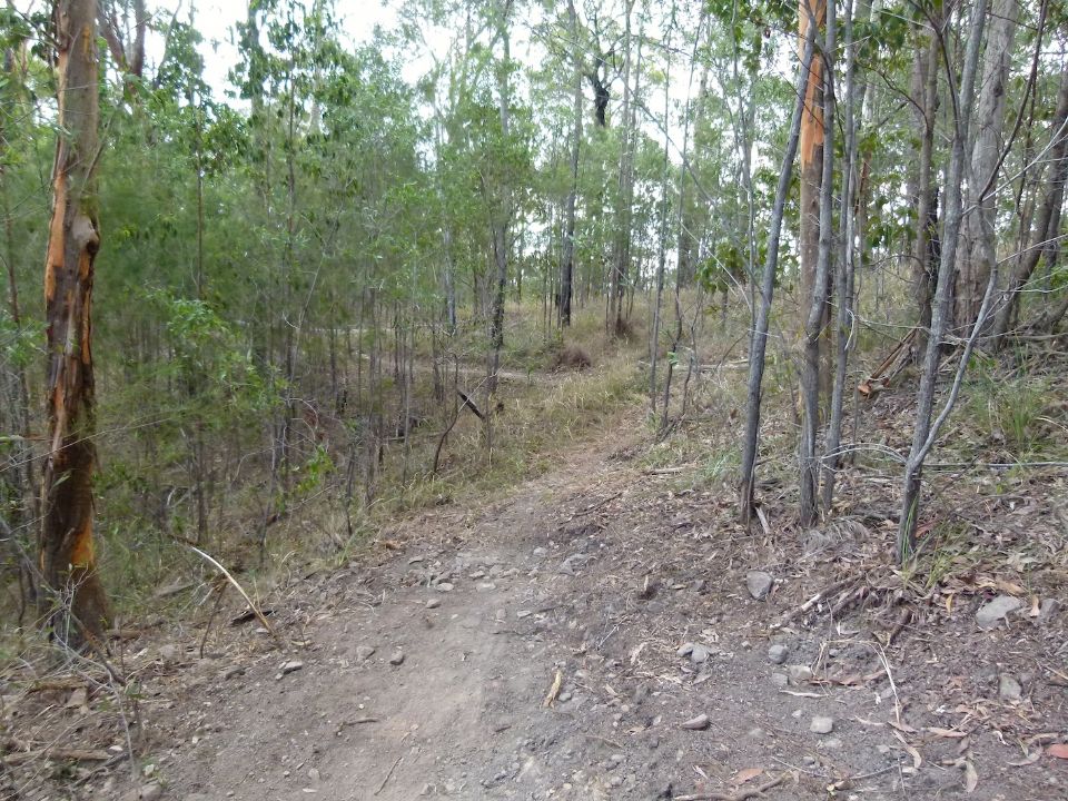 P1130470.jpg