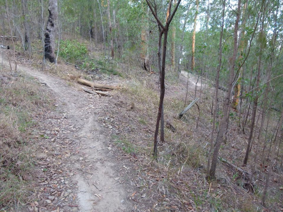P1130471.jpg