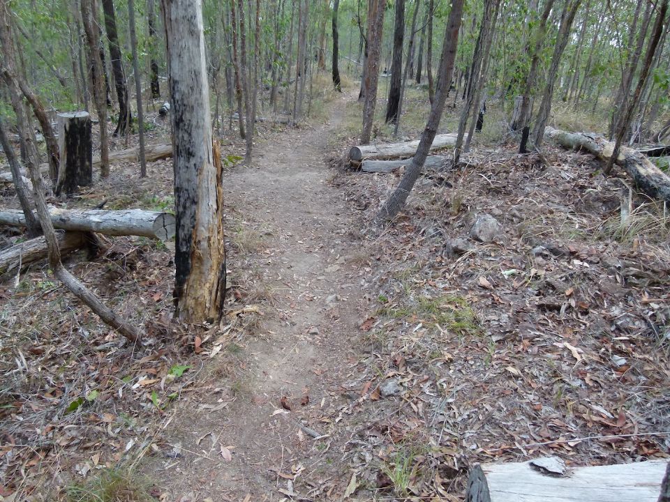 P1130473.jpg