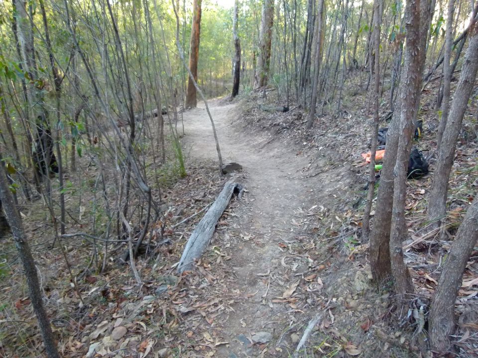 P1130403.jpg