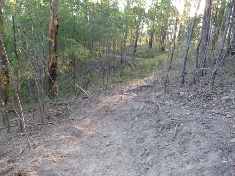 P1130409.jpg