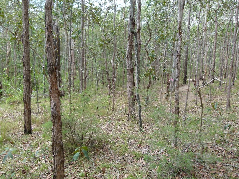 P1140024.jpg