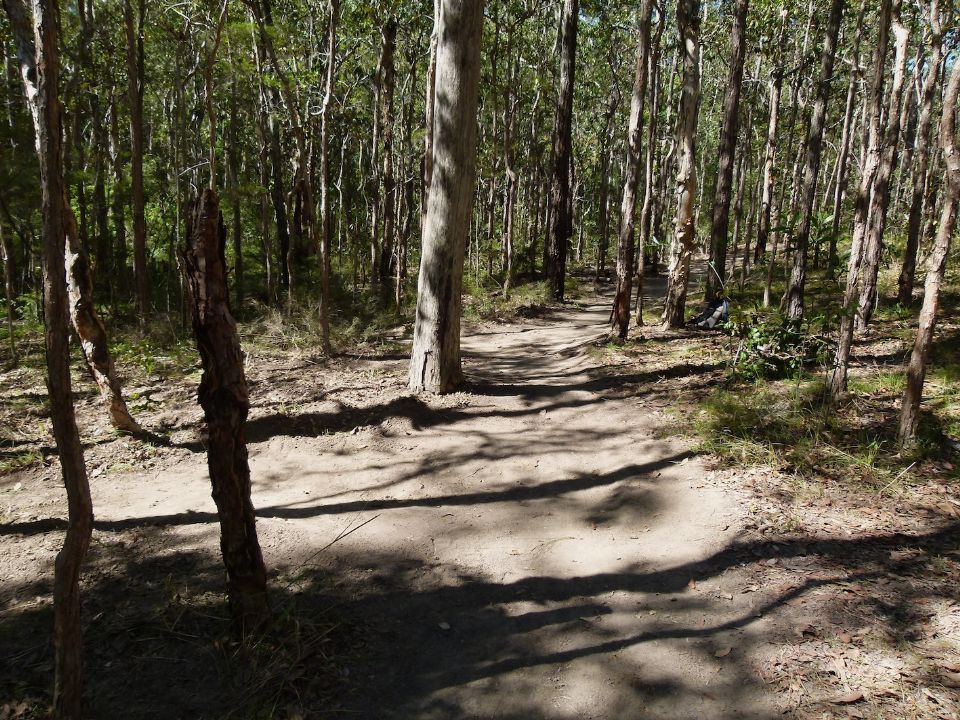 P1140043.jpg