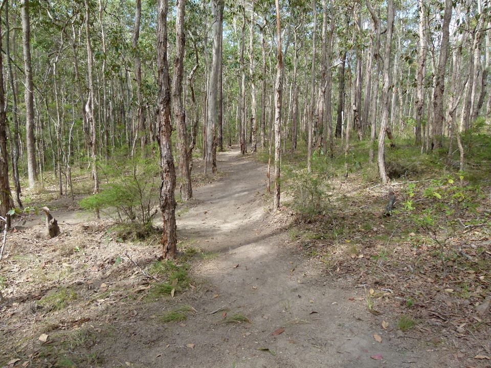 P1140049.jpg