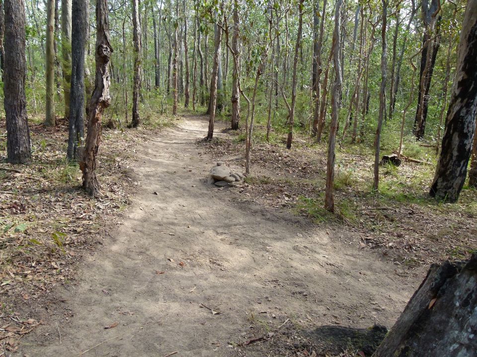 P1140050.jpg