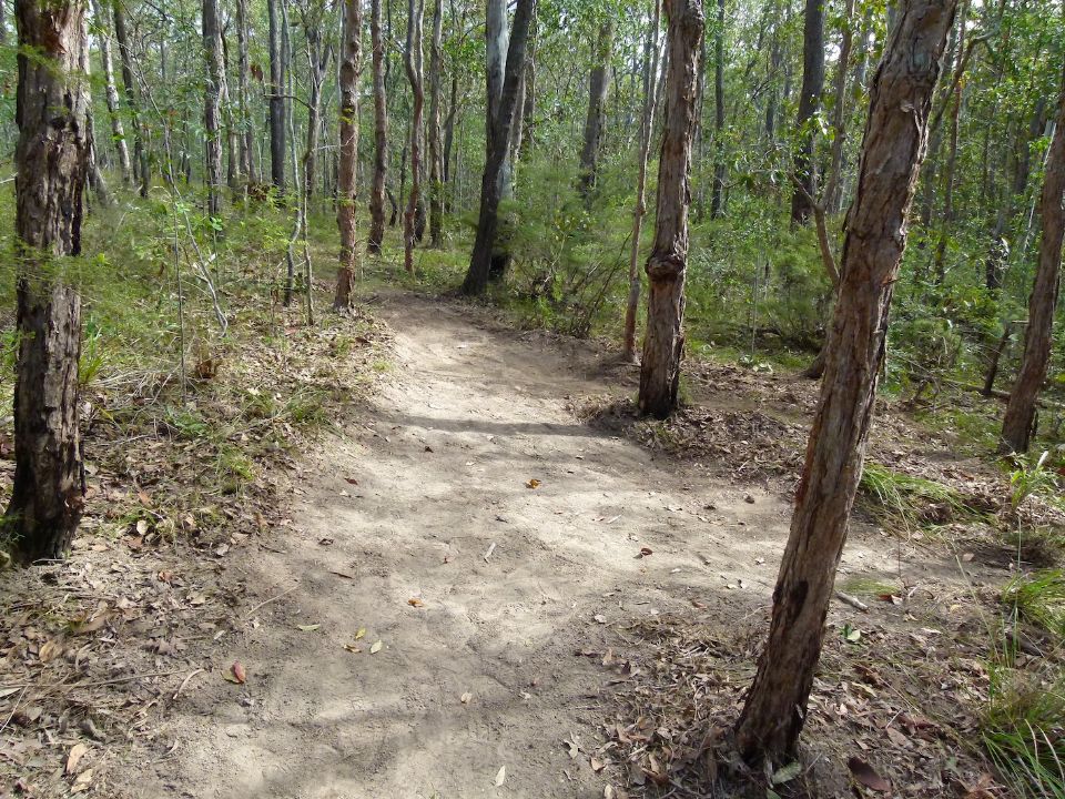 P1140051.jpg