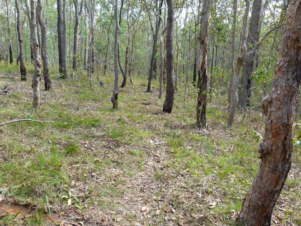 P1140052.jpg