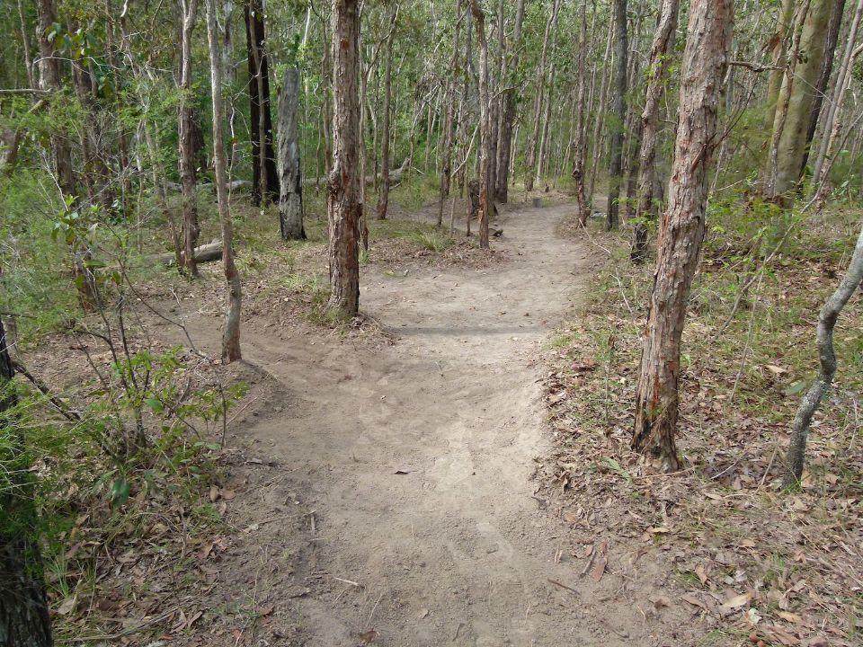 P1140054.jpg