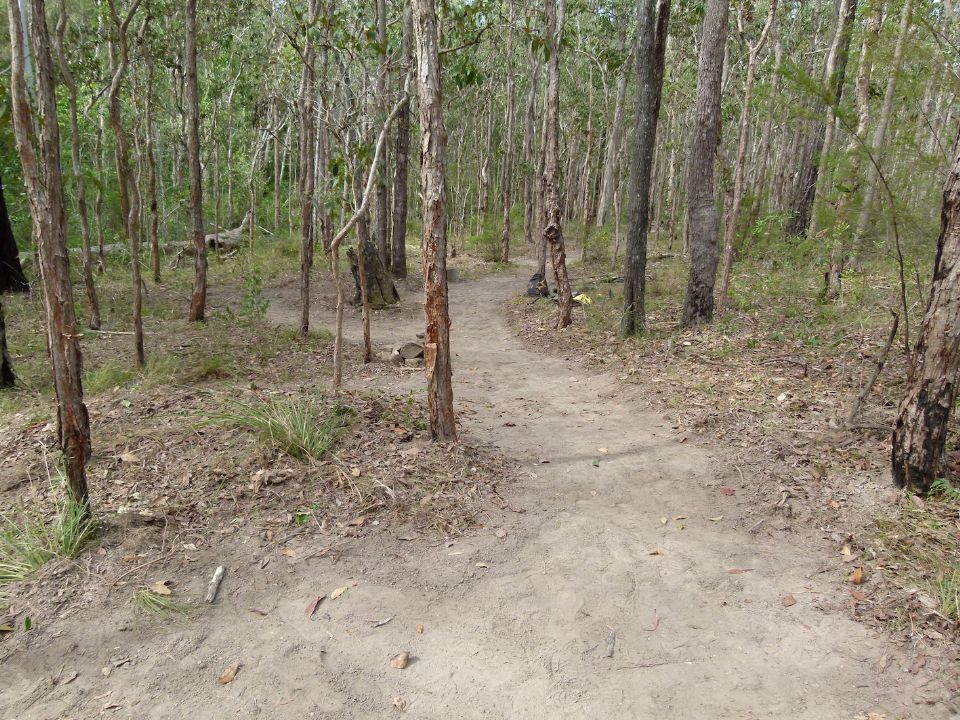 P1140055.jpg