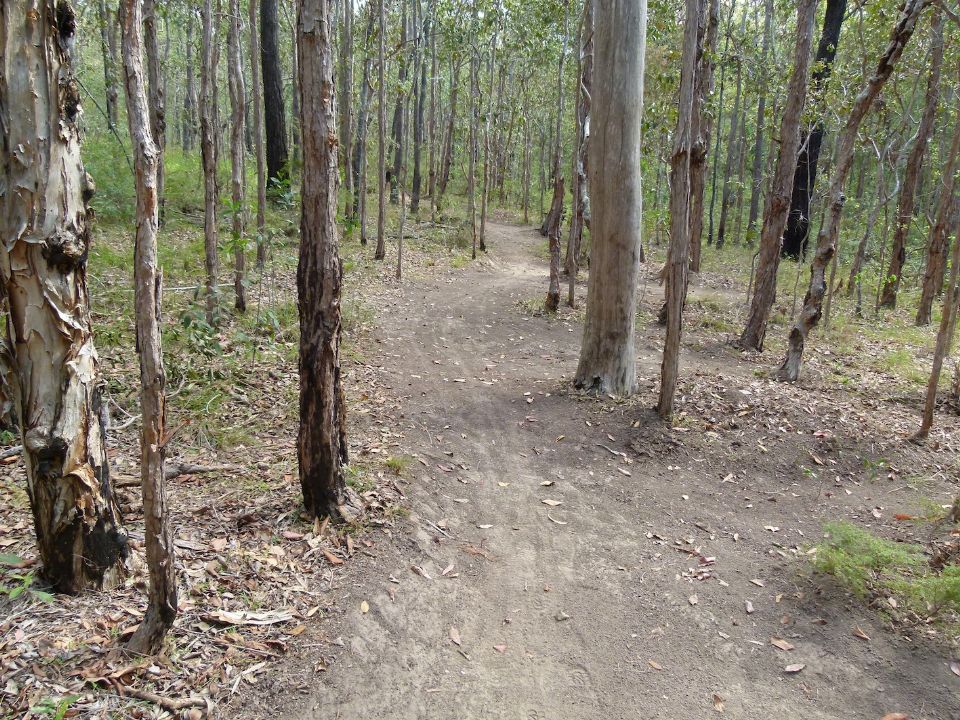 P1140056.jpg