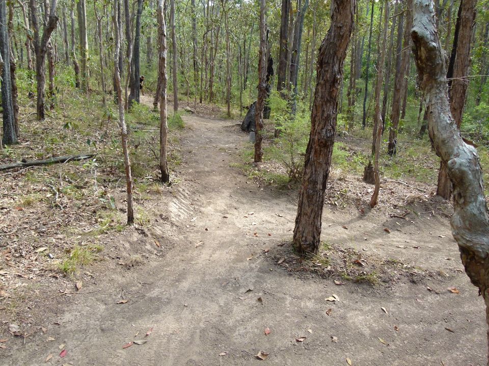 P1140057.jpg