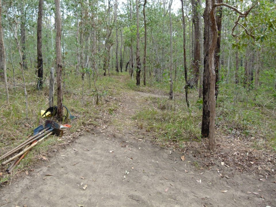 P1140078.jpg