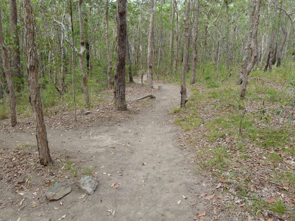 P1140083.jpg
