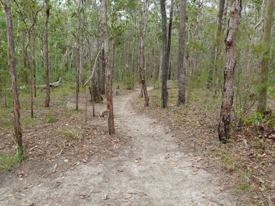 P1140086.jpg