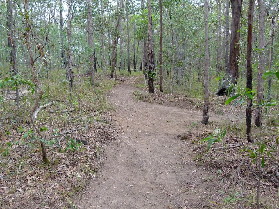 P1140095.jpg