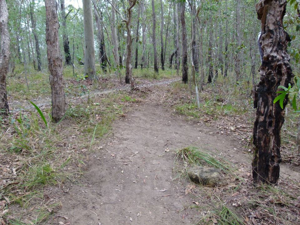 P1140096.jpg