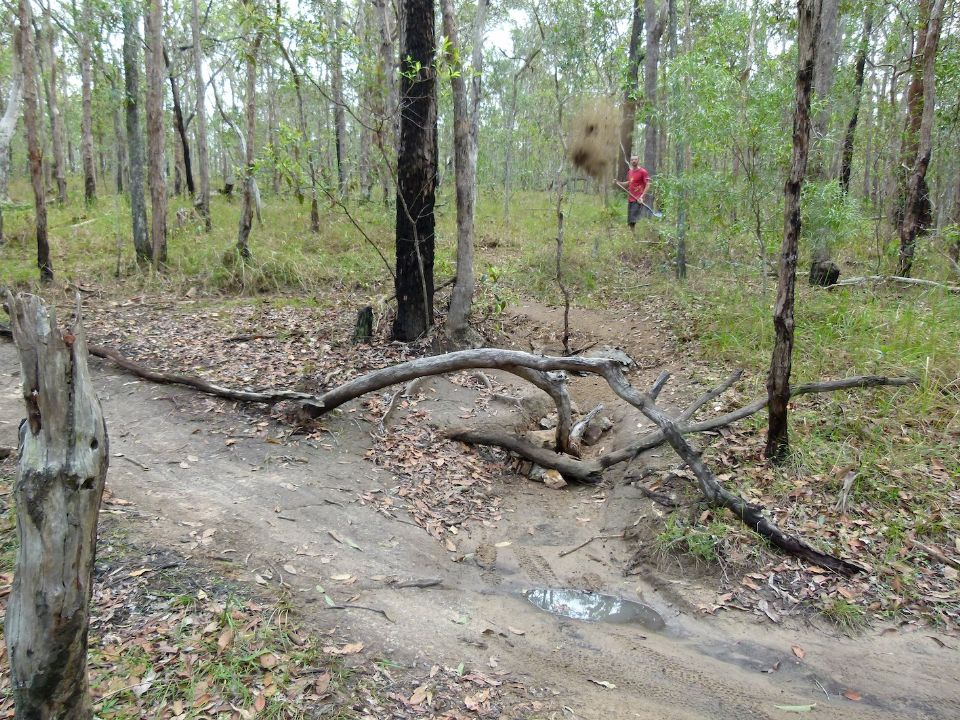 P1140143.jpg
